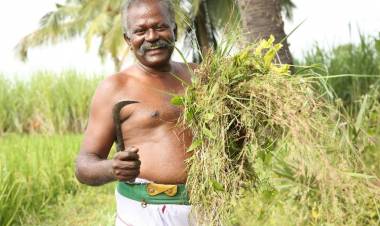 “ நெடுநல்வாடை “ படத்திற்காக தயாரிப்பாளர்களான ஐம்பது முன்னாள் மாணவர்கள்