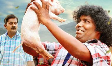 Lyca Productions presents ‘Panni Kutty’