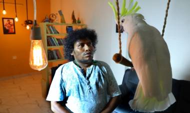 நாய்க்கு முடிவெட்டும் கடையை திறந்த யோகி பாபு!