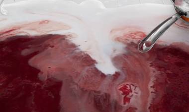 ஜாஸ்மின் இயக்குனரின் அடுத்த படம்