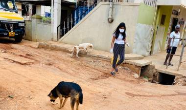 Animals need your help - Cocktail Movie Actress Rashmi Gopinath