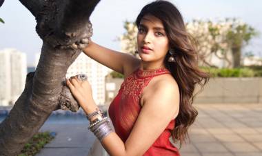 The #Bhoomi & #Eeswaran girl #NiddhiAgerwal looks stunning in these lovely pictures from her latest photoshoot.