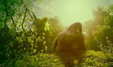 பிரம்மாண்டமான ராட்சச குரங்கு நடிக்கும் " கபி "