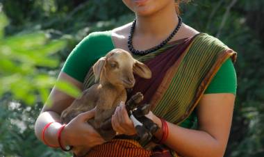 விஜய் பிரகாஷ் இயக்கத்தில்  இசைஞானி இளையராஜா இசையில்  ’96’ பட புகழ் கௌரி நடிக்கும் “உலகம்மை"