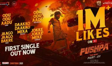 #PushpaFirstSingle sets YouTube Records on Fire 1M+ Likes across 5 languages 