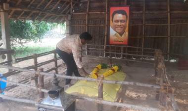 கே என் ஆர் மூவிஸ் சார்பில் கே என் ஆர் ராஜா தயாரித்து இயக்கி நடித்திருக்கும் திரைப்படம் மாவீரன் பிள்ளை 