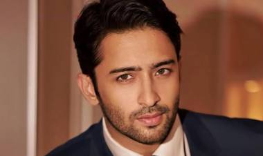 Yeh Dil Sun Raha Hai: Netflix’s Gritty Romance Thriller To Feature A Stellar Star Cast Including Shaheer Sheikh