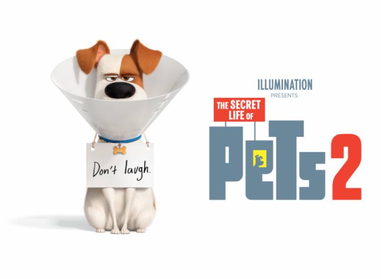 The Secret Life of Pets 2 - Movie Review 