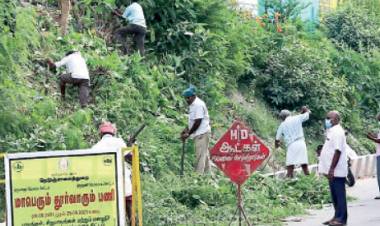 திருத்தணி​​​​​​​ பருவமழை முன்னெச்சரிக்கையாக பாலம், மழைநீர் கால்வாய் சீரமைப்பு