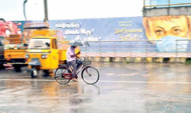 சென்னையில் வடகிழக்கு பருவமழைக் காலத்தில் மீட்பு பணிகளை மேற்கொள்ள வார்டு வாரியாக குழு அமைப்பு