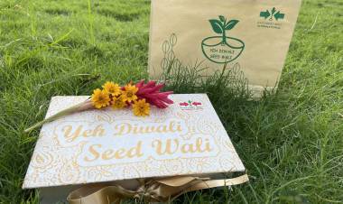 Eco-friendly ‘sprouting’ seed diya this Diwali from East-West Seed India