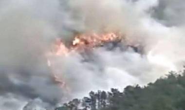 சீனாவில் 133 பயணிகளுடன் சென்ற போயிங் 737 விமானம் விபத்து