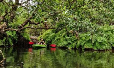 Hey Dad! I got it all figured out! Just like you