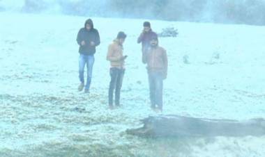 உதகையில் நீடிக்கும் உறைப்பனி பொழிவு - சமவெளி பகுதியில் ஜீரோ டிகிரி வெப்பநிலை பதிவு