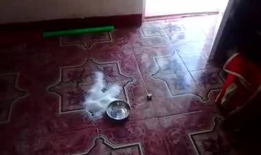 கோத்தகிரியில் வீட்டு கதவை உடைத்து பொருட்களை சூறையாடிய கரடி