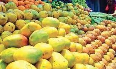 சென்னை கோயம்பேடு சந்தையில் திடீர் ஆய்வு மேற்கொண்ட உணவு பாதுகாப்பு அதிகாரிகள் ரசாயனம் கலந்து பழுக்கவைத்த 2 டன் மாம்பழங்கள் பறிமுதல்