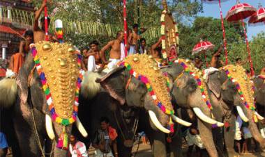 திருச்சூரில் பூரம் விழாவில் யானைகளை மதம் பிடித்து மோதி கொண்டதால் பரபரப்பு: அலறி ஓடிய மக்கள்