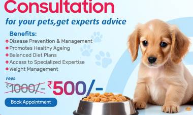 SANCHU Animal Hospital Launches Innovative Online Nutrition Consultation Service for Pets