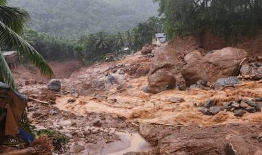 வயநாடு நிலச்சரிவு: பாதிக்கப்பட்ட பகுதிகளில் 6 மாதங்களுக்கு மின்சார கட்டணம் ரத்து!!