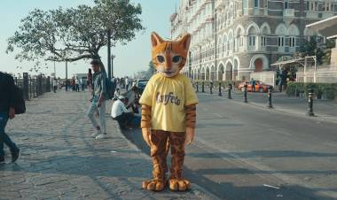 Allana Consumer Products Ventures into the Cat Food Market