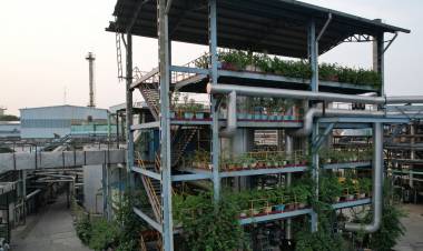 Merino Industries Reinforces Sustainability Focus on World Environment Day