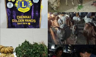 Lions Club of Chennai Golden Hands