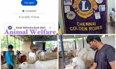 Project Number:8 Animal Welfare- Sponsored amount towards Cow feeding with Agathikeerai at Sri Venkatakrishna Gosamrakshana Shala.  Donor: Ln. Radharani.K.