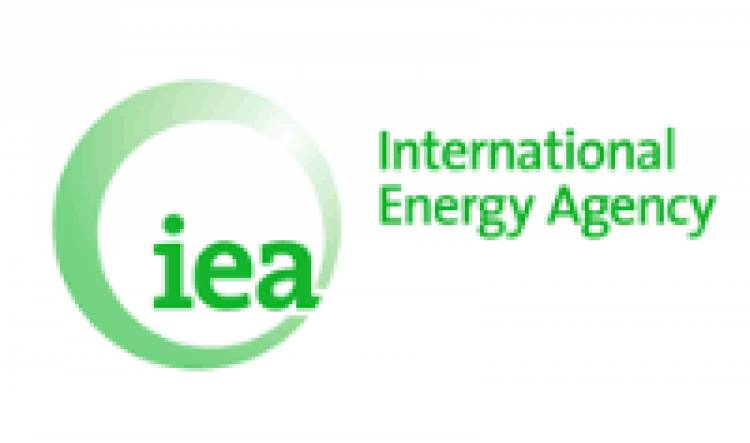 IEA launches India's Energy Policy Report
