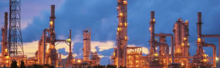 Tamilnadu Petroproducts Ltd. announcesQ3FY20 results