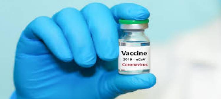 Serum Institute pauses COVID-19 vaccine trials in India