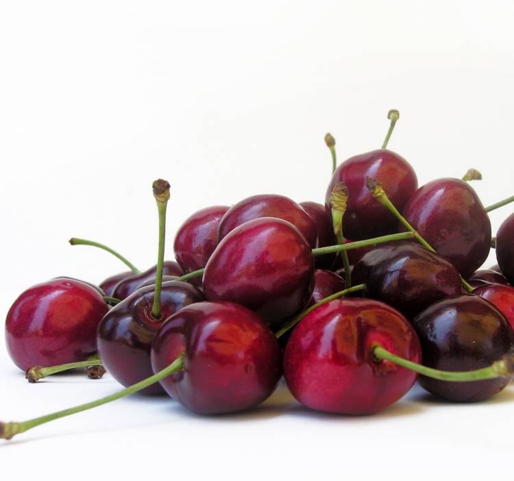 Red, delectable and nutritive Cherries from Chile promoted for the first time in India