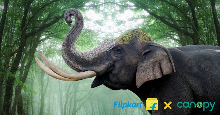 Flipkart and Myntra Join Hands with Canopy to Advance Sustainability Efforts and Conserve Forests