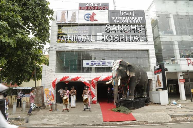 CavinKare’s ambitious venture ‘SANCHU Animal Hospital’ launches their third facility in Anna Nagar