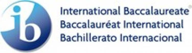 Global Youth Action Fund 2026 applications are now open to all students