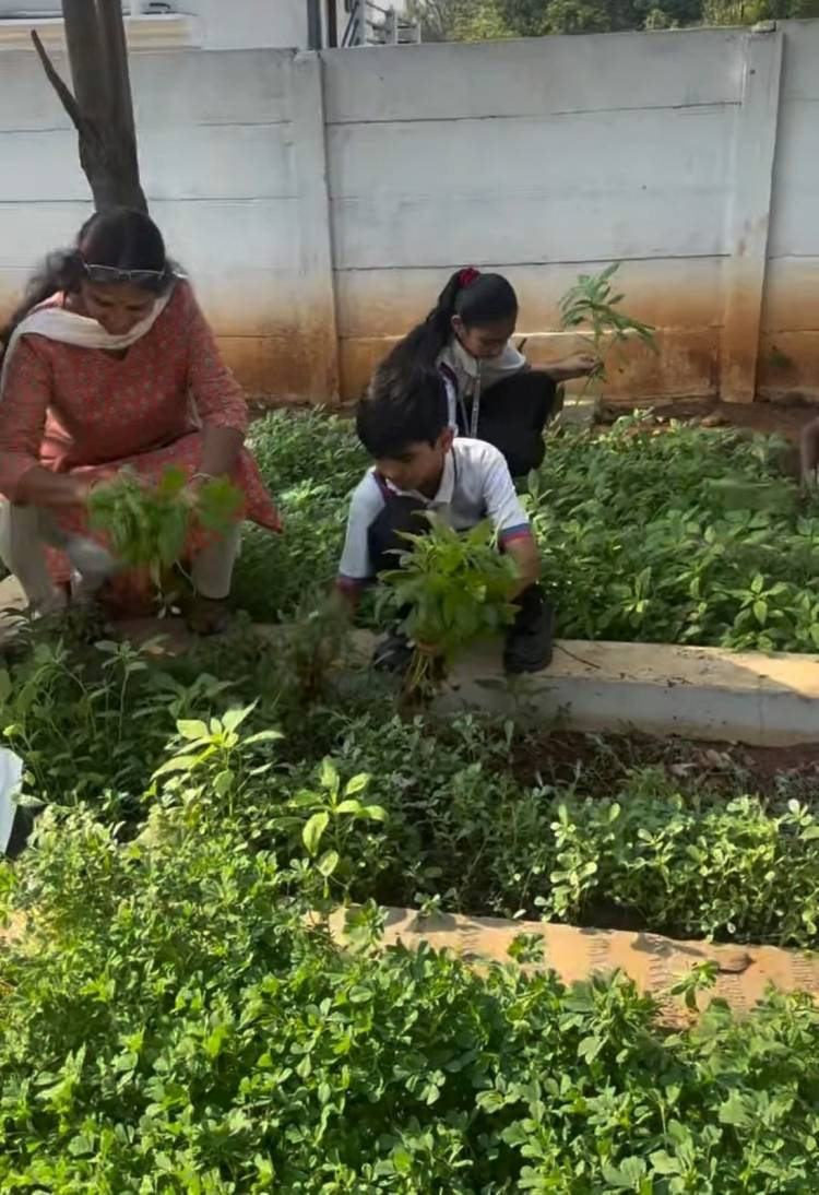 Harvest Day at The Premia Academy – From Soil to Soul 