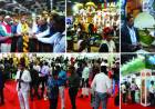 TTF Chennai 2026 Concludes with Strong Industry Participation, Reinforcing South India’s Travel Demand