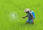 Centre issues draft notification to ban paraquat herbicide