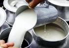 Milk prices set for another increase as dairy costs climb