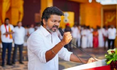 TVK Cadres Urge Vijay to Contest Perambur