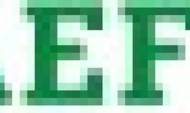 Schaeffler India Limited announces results for the fourth quarter and year ended December 31, 2025