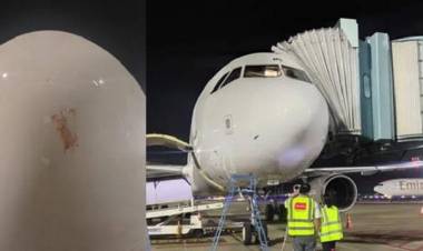 Air Arabia Flight Lands safely after bird strike