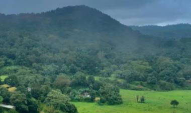 American tourist alleges sexual assault at Kodagu homestay; owner and employee arrested