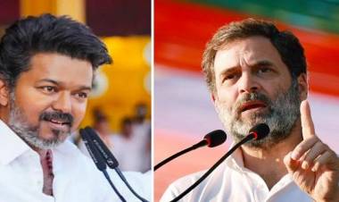 Congress May Back TVK for TN Government Without BJP Support