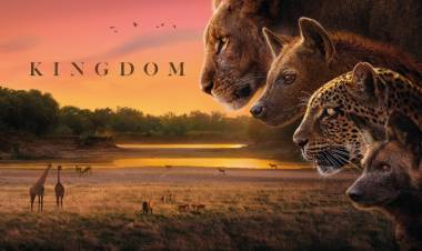 Sony BBC Earth unveils Zambia’s untamed wild in the gripping wildlife drama ‘Kingdom’ premiering 20th July