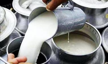 Milk prices set for another increase as dairy costs climb