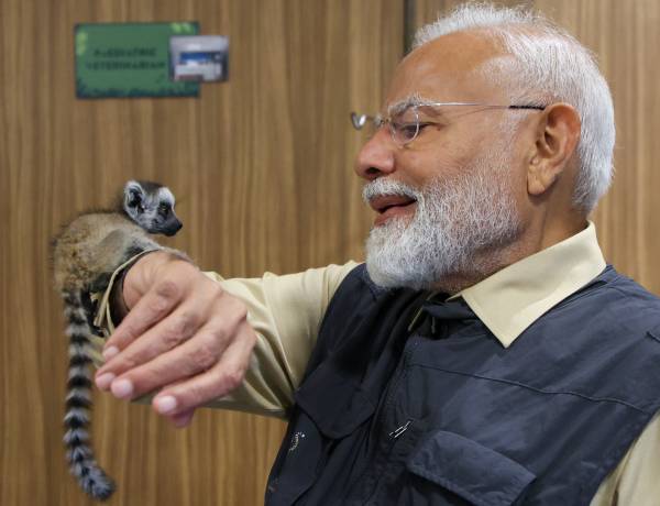 VANTARA FOUNDATION DAY: ONE YEAR AFTER INAUGURATION BY PRIME MINISTER NARENDRA MODI, MANY ANIMALS RESTORED TO HEALTH AND RETURNED TO THE WILD