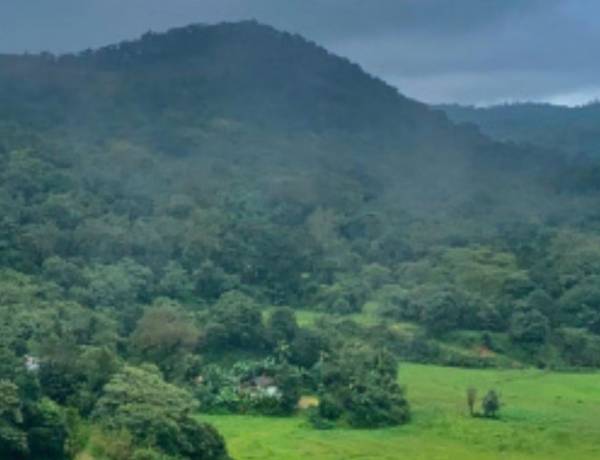 American tourist alleges sexual assault at Kodagu homestay; owner and employee arrested