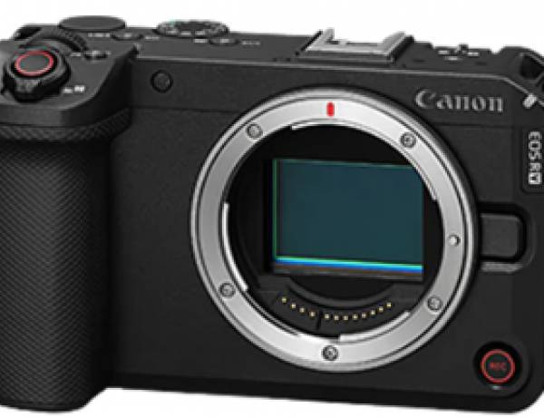 Celebrating Every Perspective Through Every Frame: Marking World Photography Day with Canon