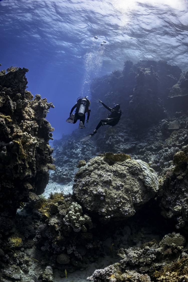 PADI becomes the first diver training organisation to offer training materials in Hindi