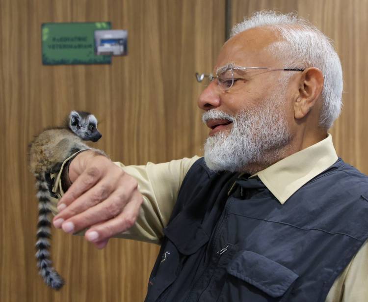 VANTARA FOUNDATION DAY: ONE YEAR AFTER INAUGURATION BY PRIME MINISTER NARENDRA MODI, MANY ANIMALS RESTORED TO HEALTH AND RETURNED TO THE WILD